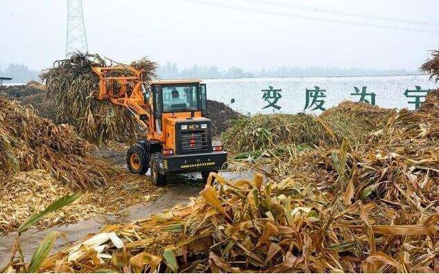 黑土地上的‘秸稈經(jīng)紀人’要讓秸稈牛起來，變成‘寶’