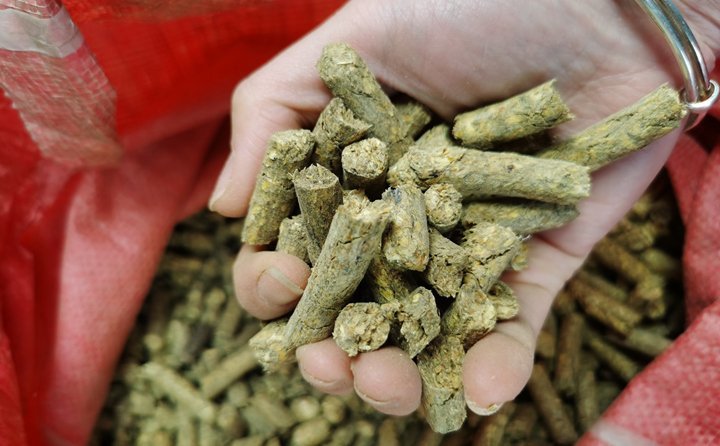 秸稈顆粒機(jī)生物質(zhì)燃料化利用 秸稈顆粒機(jī)生物質(zhì)燃料化利用