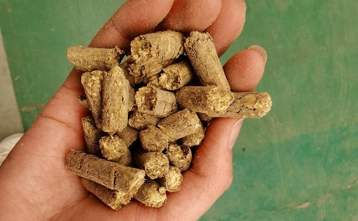 秸稈飼料顆粒機(jī)提高秸稈利用率，飼料顆粒機(jī)是以玉米、豆粕、秸稈、草、稻殼等為原料，通過(guò)粉碎原料后直接壓制成顆粒的飼料加工機(jī)械。