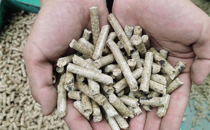 玉米秸稈顆粒機設(shè)備加工為顆粒燃料
